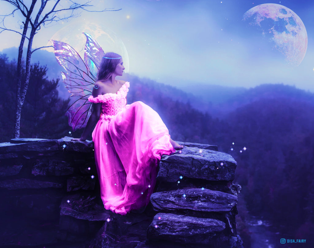 Fairy in a Pink dress – Disafairy